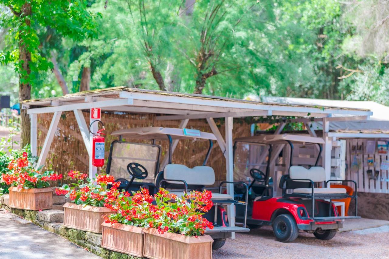Le Pianacce Camping Village Castagneto Carducci Exterior photo